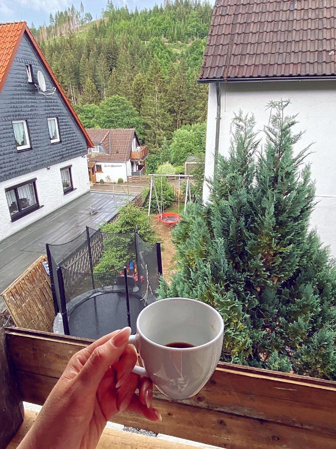 Harzgemuetlichkeit Fuer 2 Personen Und Haustier - Altenau! Altenau  Buitenkant foto